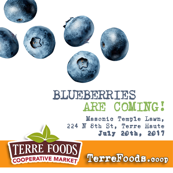 Blueberries Are Coming!